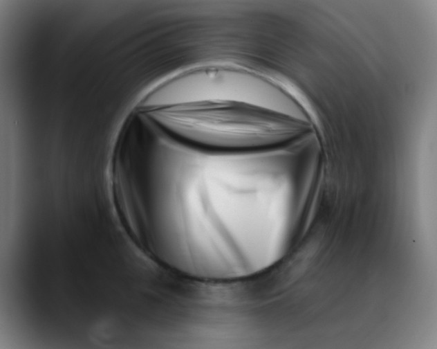 X0000089740951200707121505