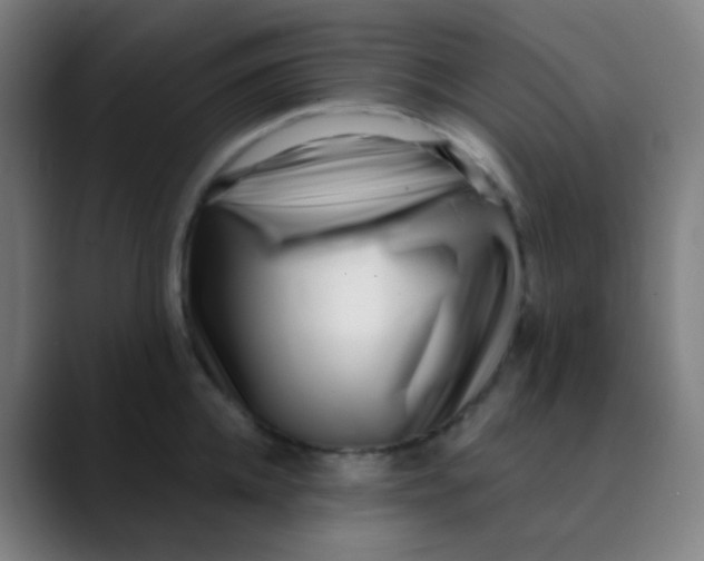 X0000089740952200707121505