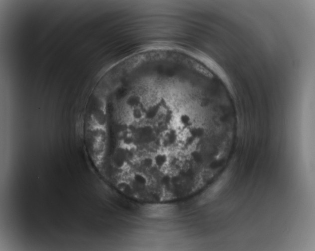 X0000089740953200707121505