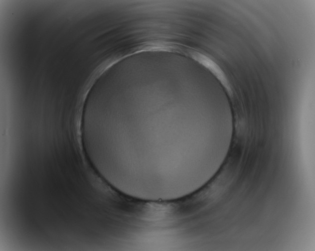 X0000089740954200707121505