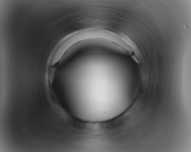 X0000089740956200707121505