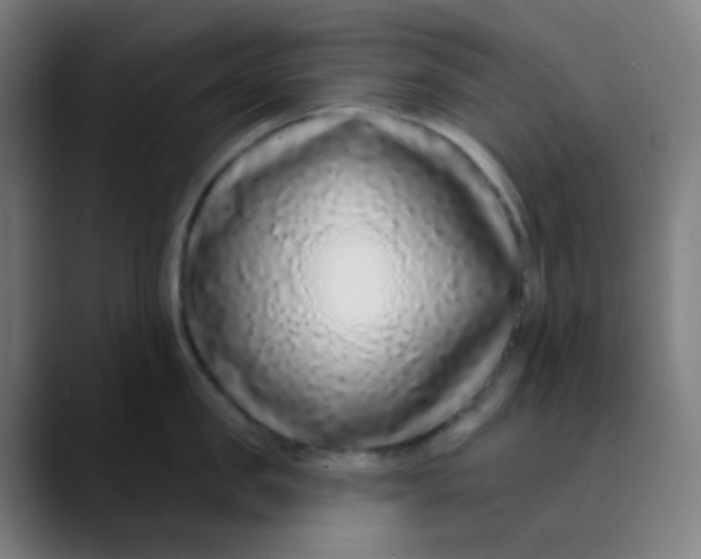 X0000089740957200707121505