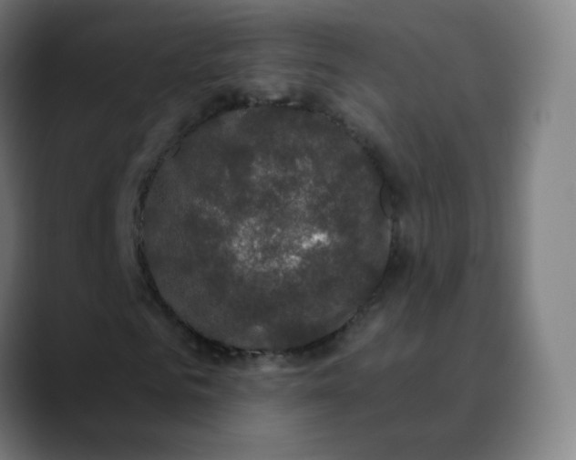 X0000089740961200707121504