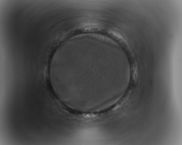 X0000089740965200707121504