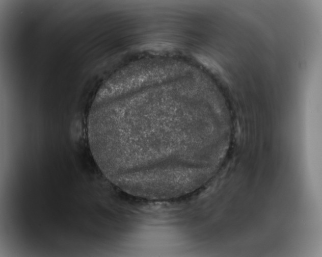 X0000089740966200707121504