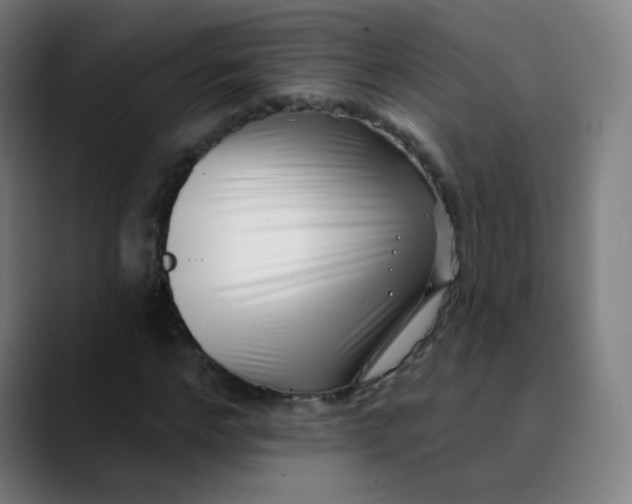 X0000089740968200707121504