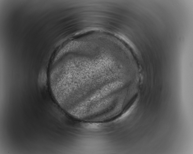 X0000089740969200707121504