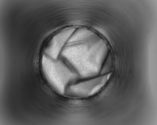 X0000089740971200707121504