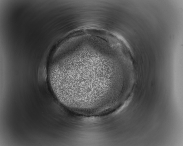 X0000089740973200707121504