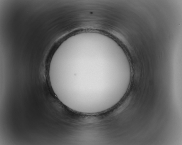 X0000089740974200707121504