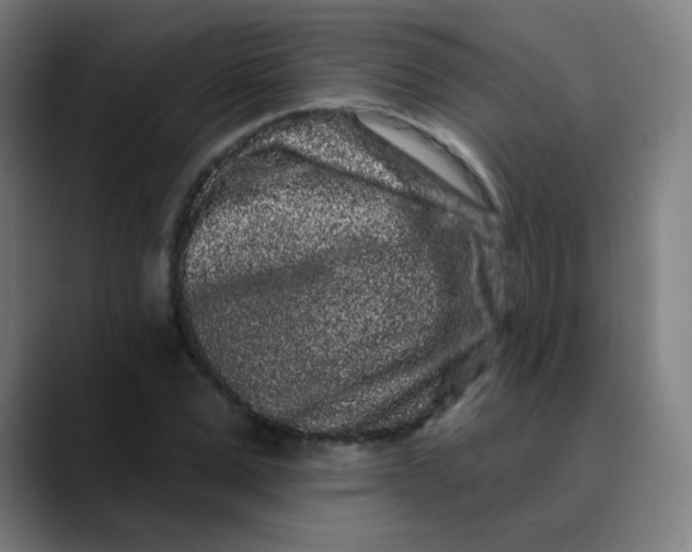 X0000089740975200707121504