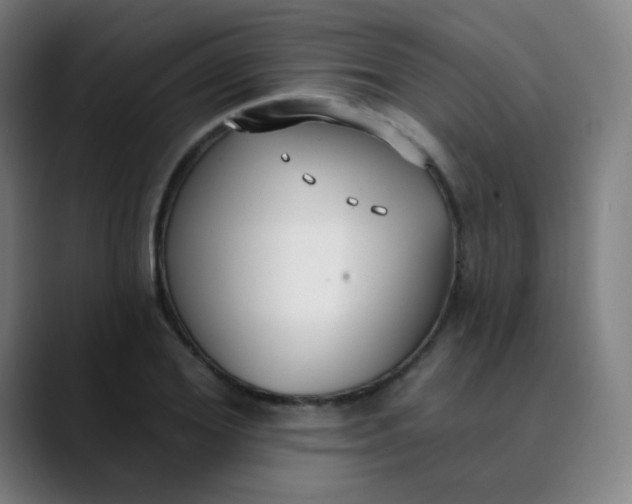 X0000089740980200707121504