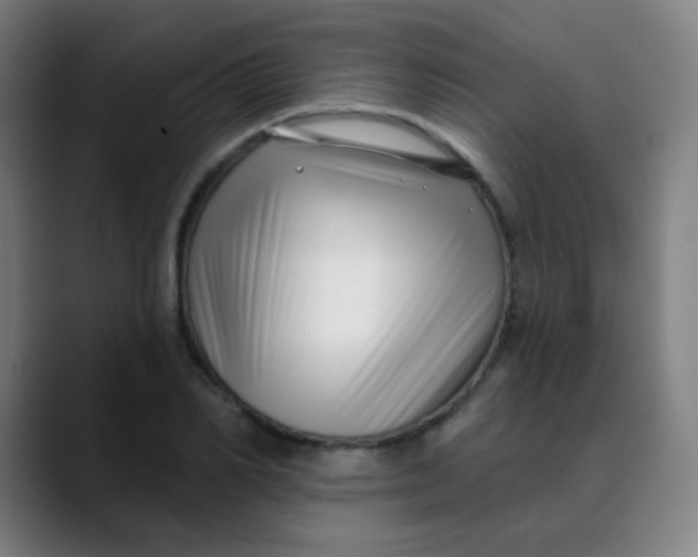 X0000089740982200707121504