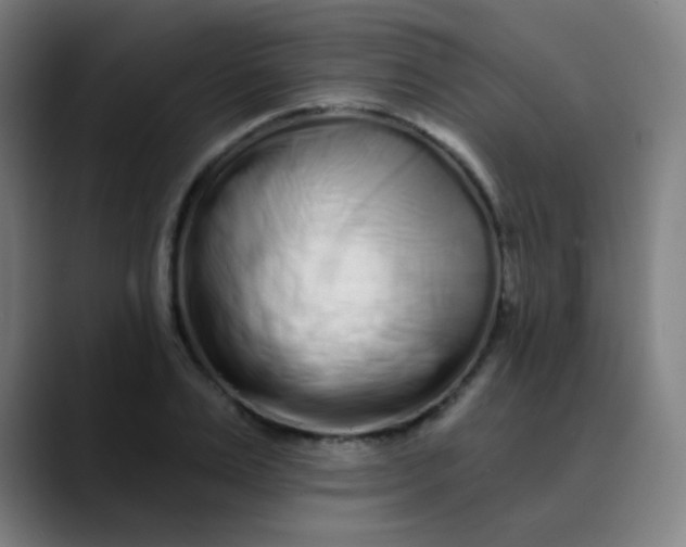 X0000089740983200707121504