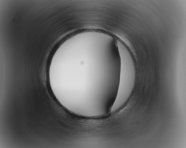 X0000089740984200707121504