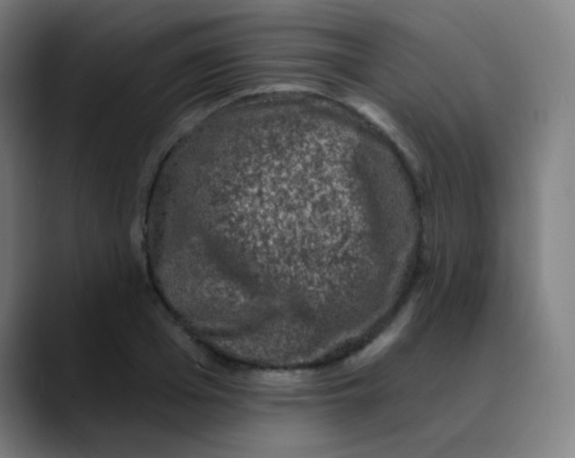 X0000089740985200707121504