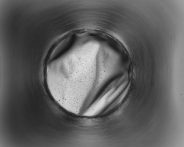 X0000089740987200707121504