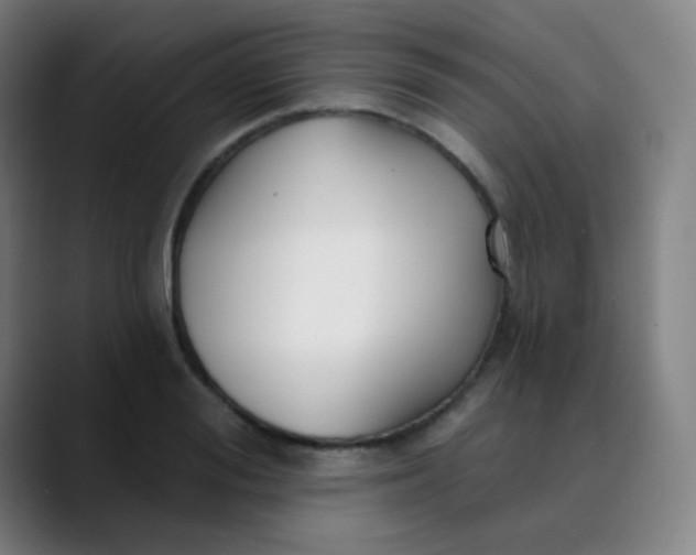 X0000089740988200707121504