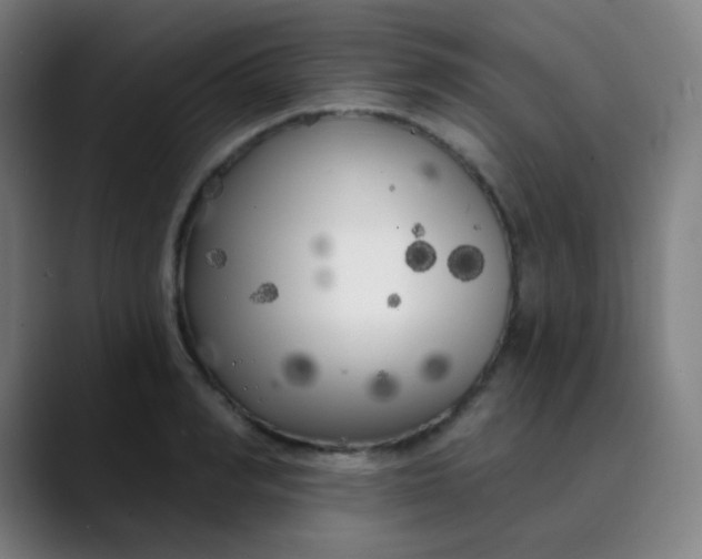 X0000089740990200707121504