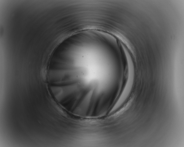 X0000089740993200707121504