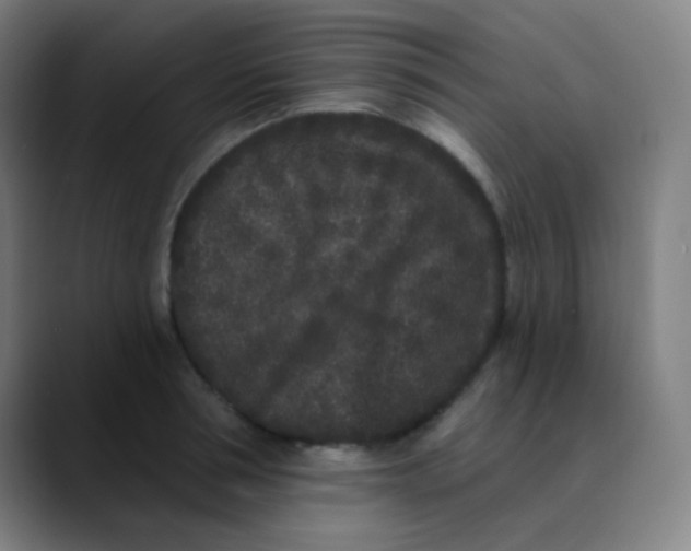 X0000089740994200707121504