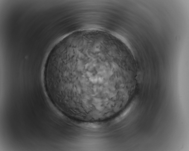 X0000089740995200707121504