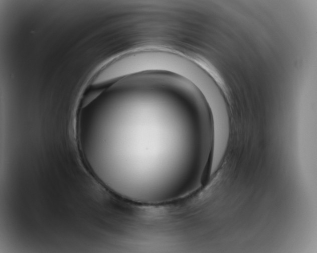 X0000089740996200707121504