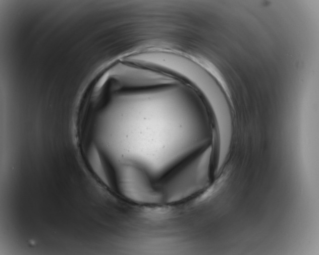 X0000089740997200707121504