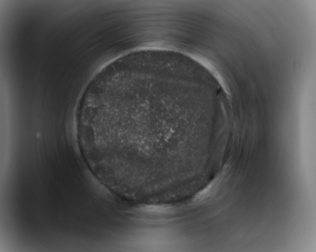 X0000089740998200707121504