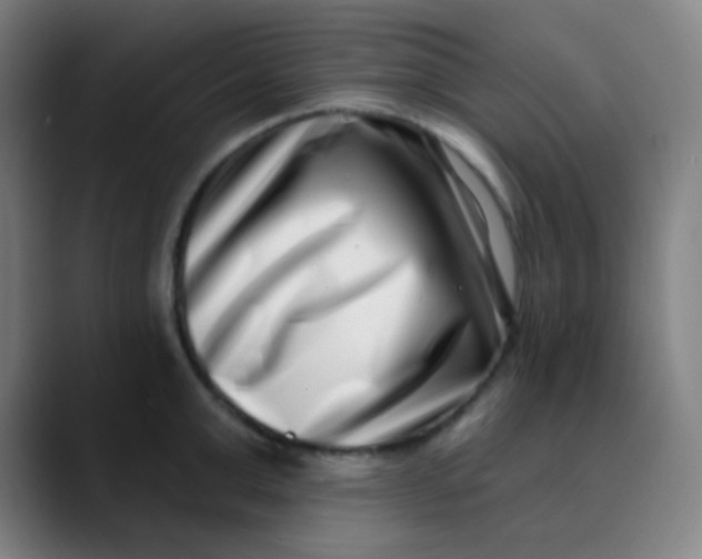 X0000089740999200707121504