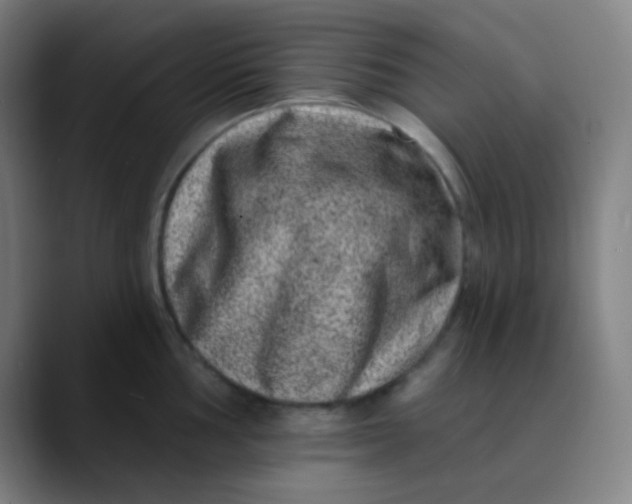 X0000089741002200707121504