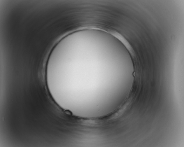 X0000089741004200707121504