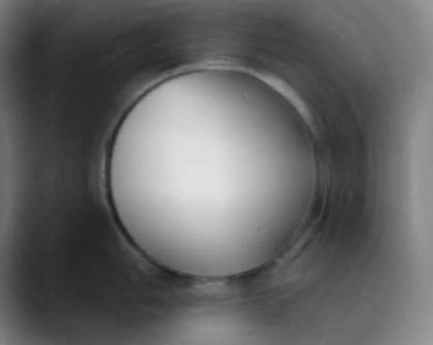 X0000089741006200707121504