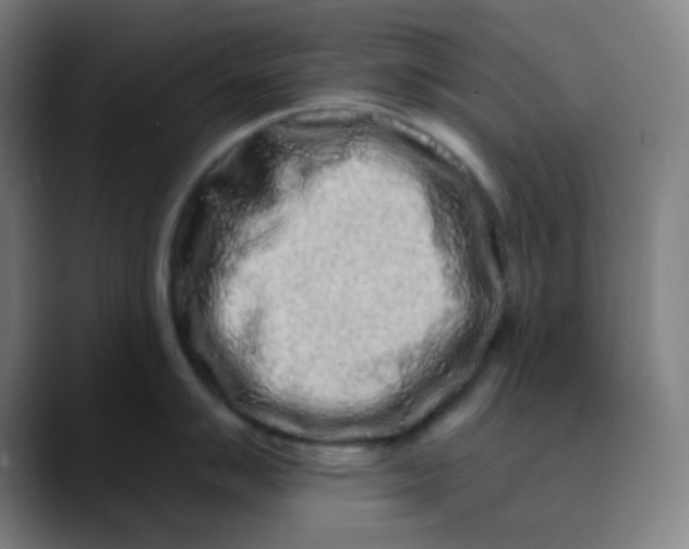 X0000089741007200707121504