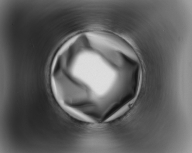 X0000089741008200707121504