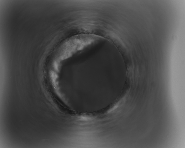 X0000089741009200707121503