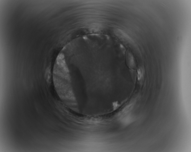 X0000089741011200707121503