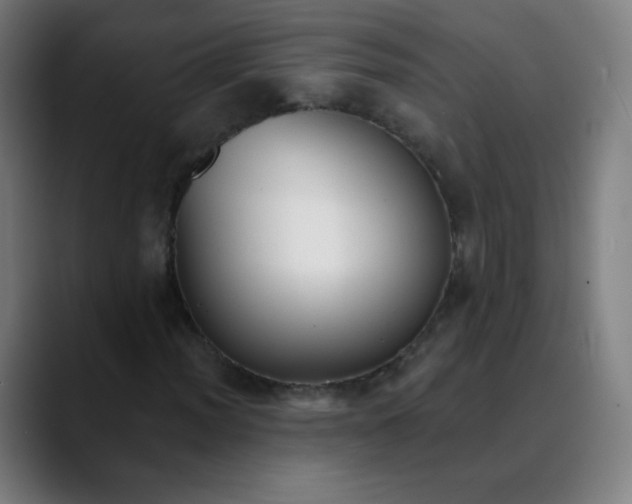 X0000089741012200707121503