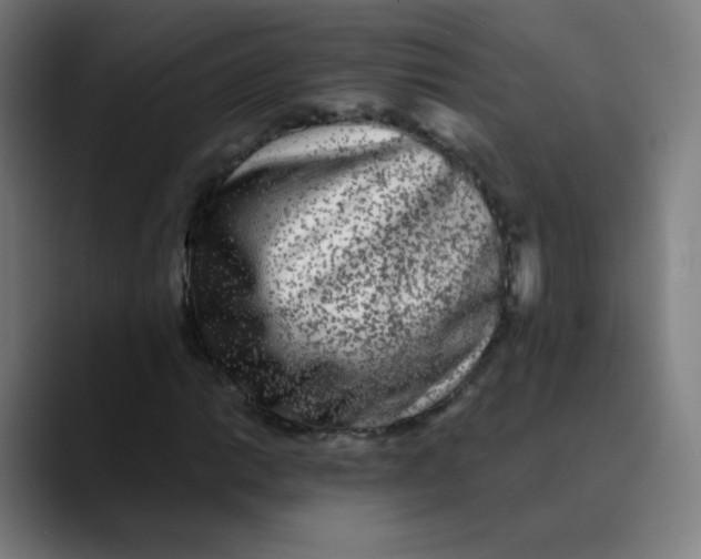 X0000089741014200707121503