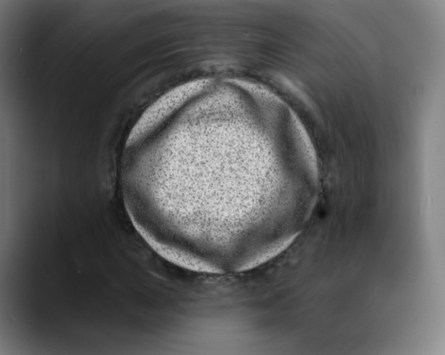 X0000089741015200707121503