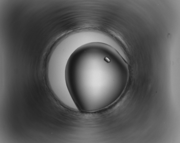 X0000089741018200707121503