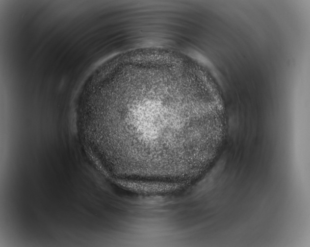 X0000089741019200707121503