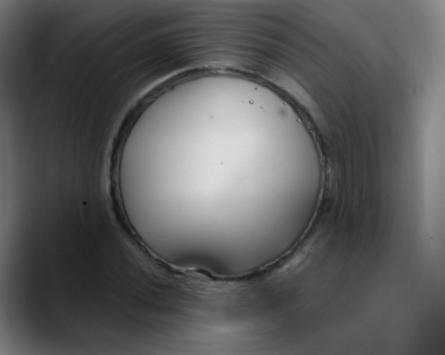 X0000089741020200707121503