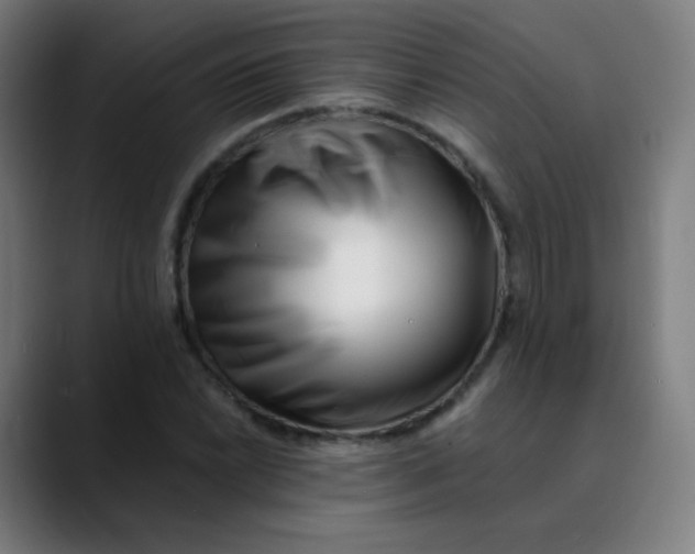 X0000089741022200707121503