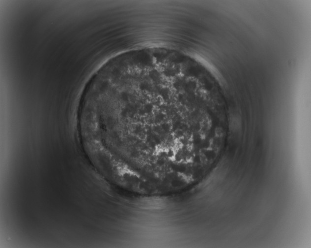 X0000089741023200707121503