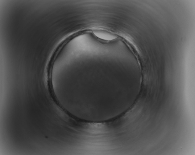 X0000089741024200707121503