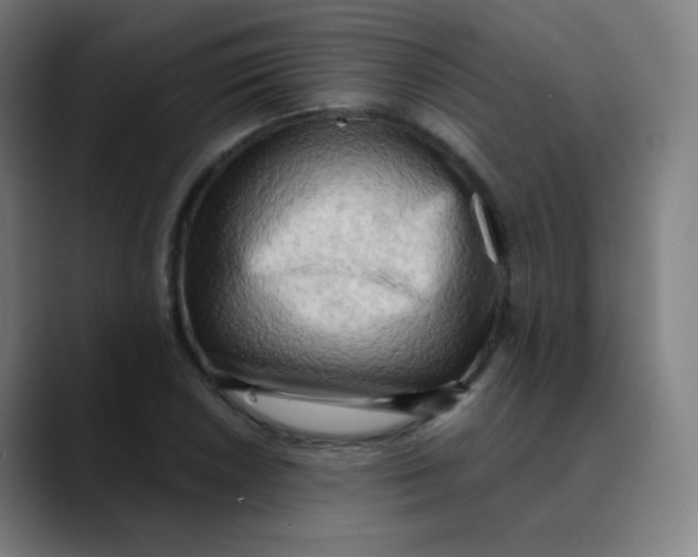 X0000089741026200707121503