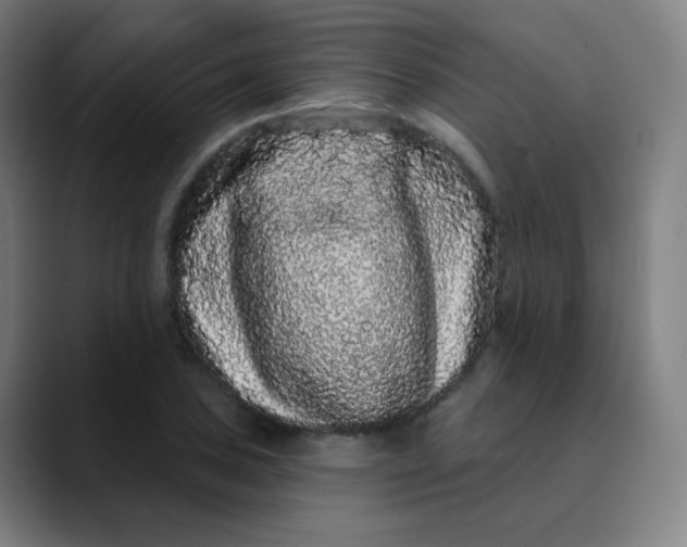 X0000089741027200707121503