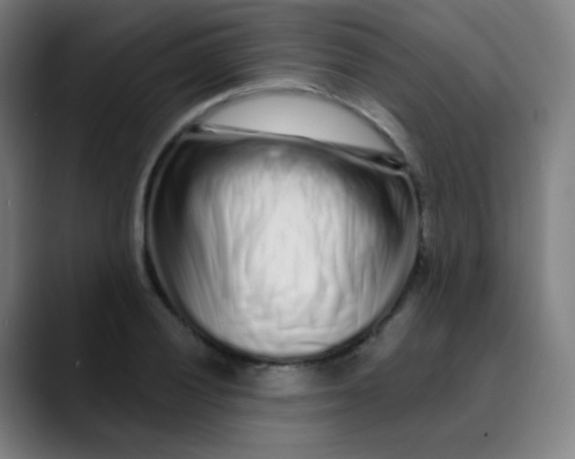 X0000089741028200707121503