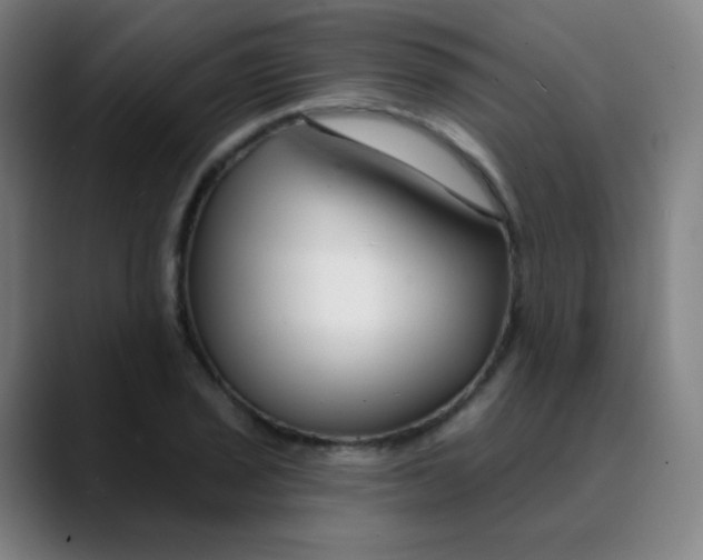 X0000089741029200707121503